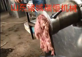 绞肉机视频瑞恒机械